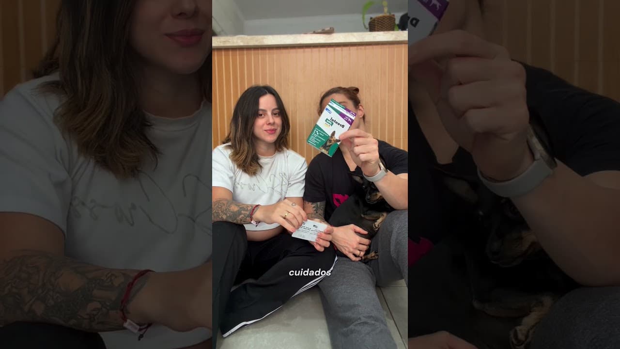 Prova Social: Showcase
